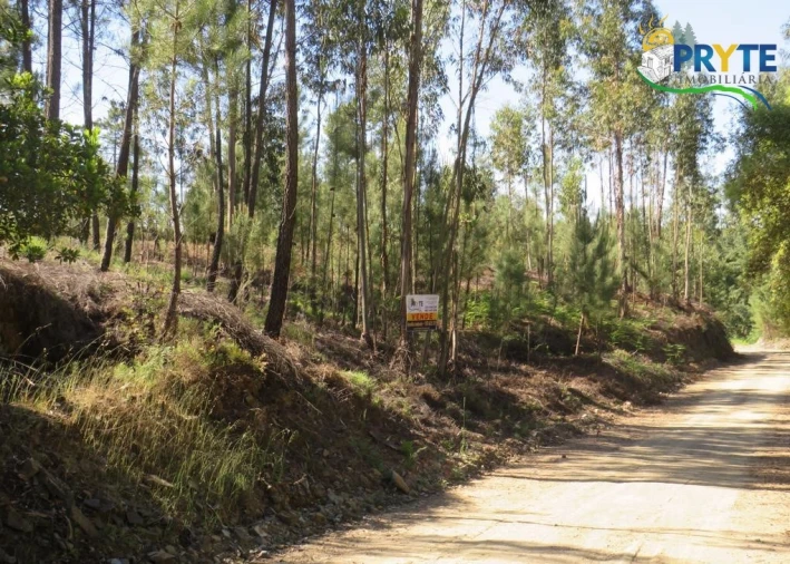Terreno para Venda em Sertã Foto 36
