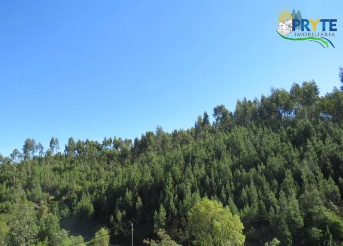 Terreno para Venda em Sertã Foto 38