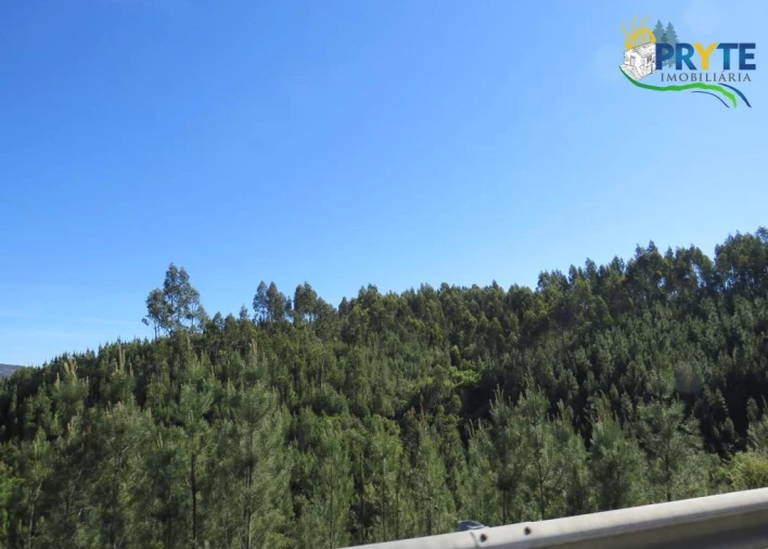 Terreno para Venda em Sertã Foto 39