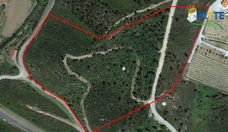 Terreno para Venda em Sertã Foto 40