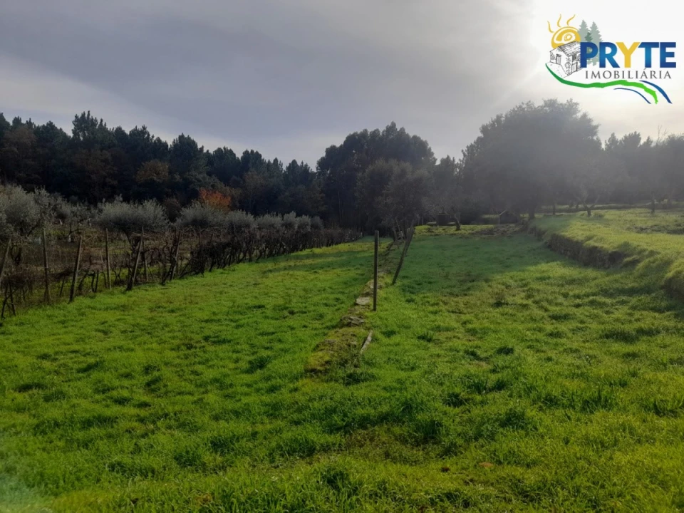 Terreno para Venda em Sertã Foto 2