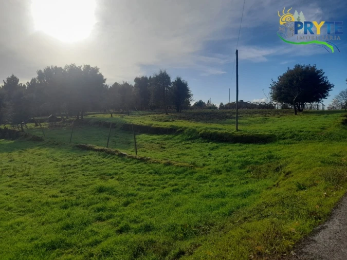 Terreno para Venda em Sertã Foto 3