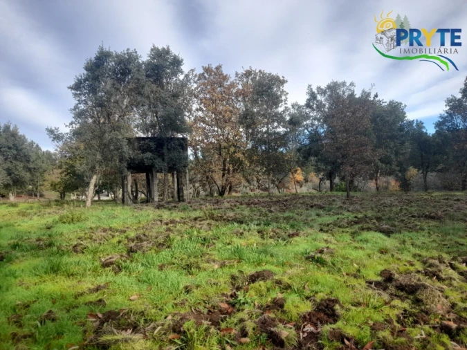 Terreno para Venda em Sertã Foto 5