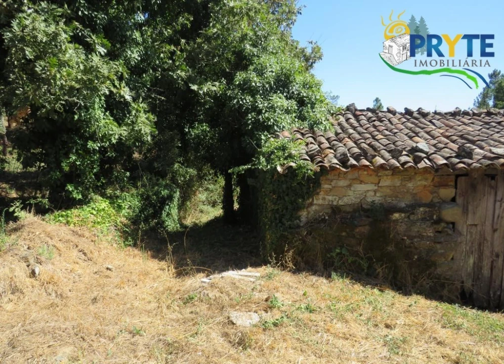 Terreno para Venda em Sertã Foto 3