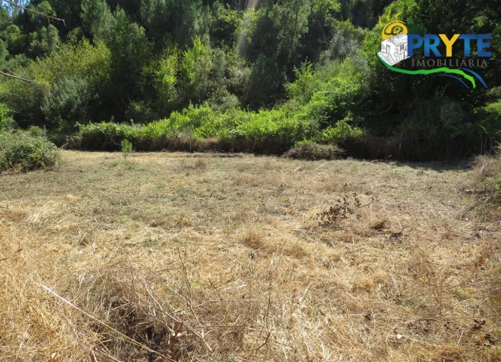 Terreno para Venda em Sertã Foto 9