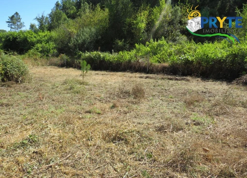 Terreno para Venda em Sertã Foto 11