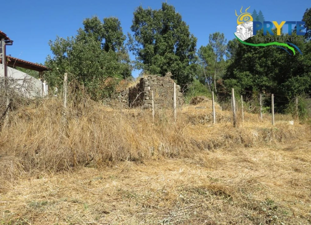 Terreno para Venda em Sertã Foto 12