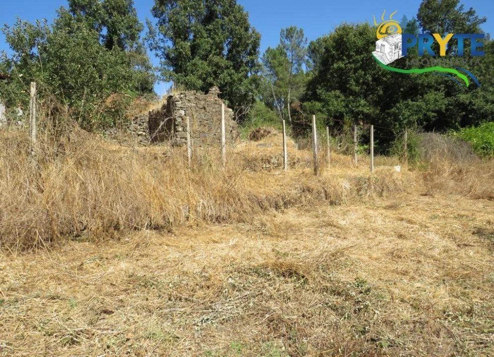 Terreno para Venda em Sertã Foto 13