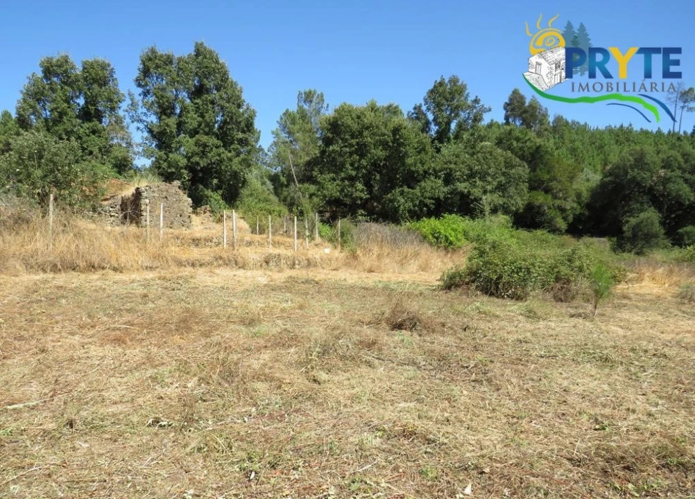 Terreno para Venda em Sertã Foto 15