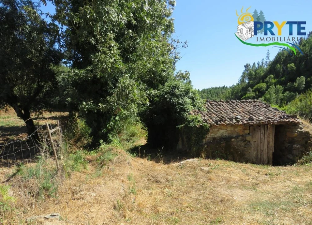 Terreno para Venda em Sertã Foto 30