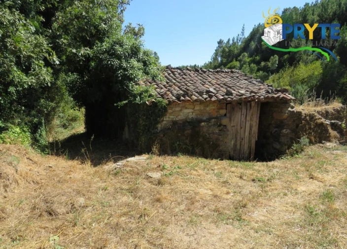 Terreno para Venda em Sertã Foto 1