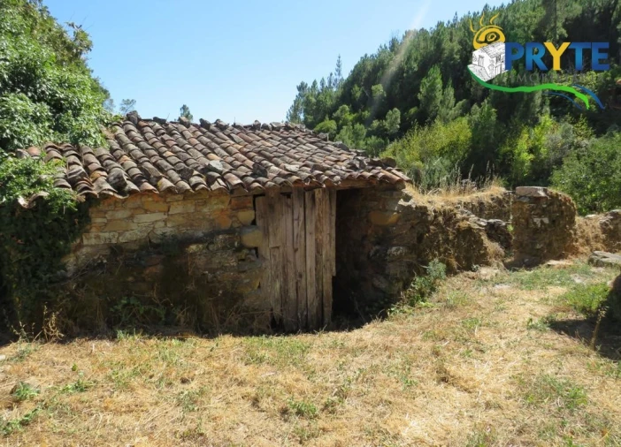 Terreno para Venda em Sertã Foto 2
