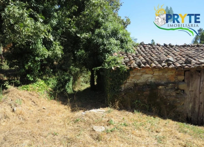 Terreno para Venda em Sertã Foto 3