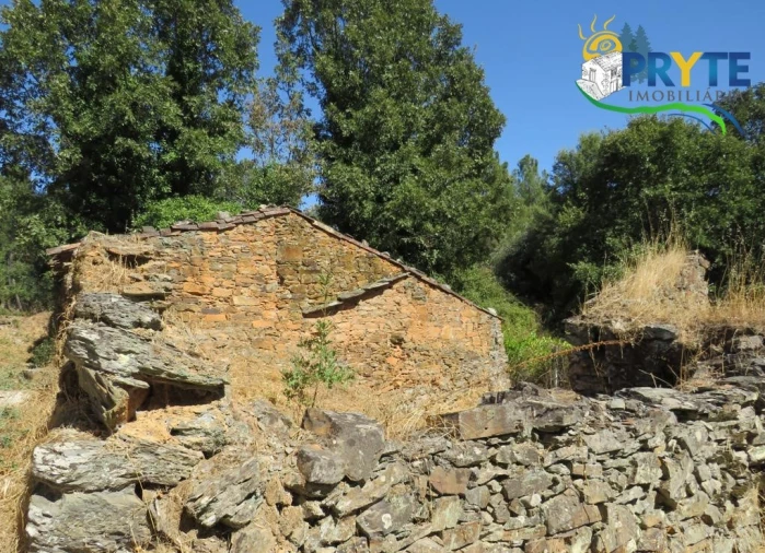 Terreno para Venda em Sertã Foto 6