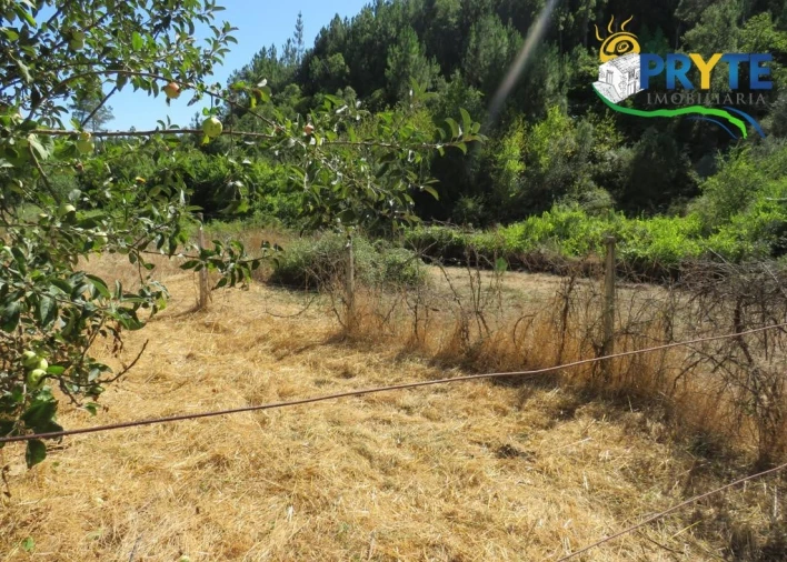 Terreno para Venda em Sertã Foto 8