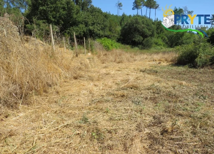 Terreno para Venda em Sertã Foto 10