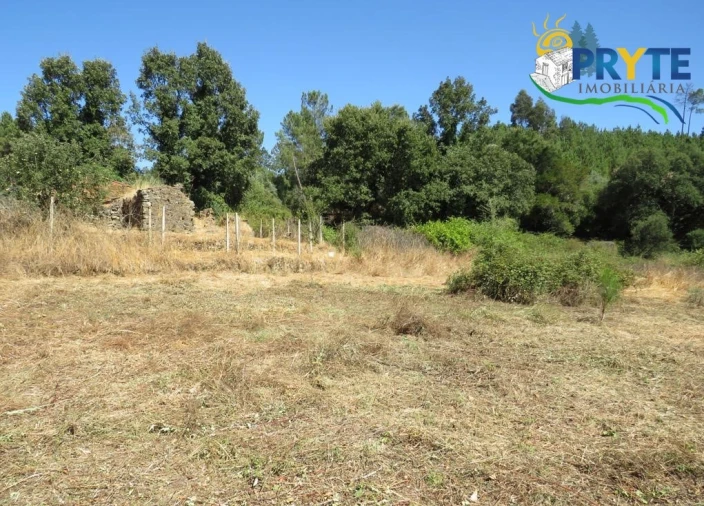 Terreno para Venda em Sertã Foto 15