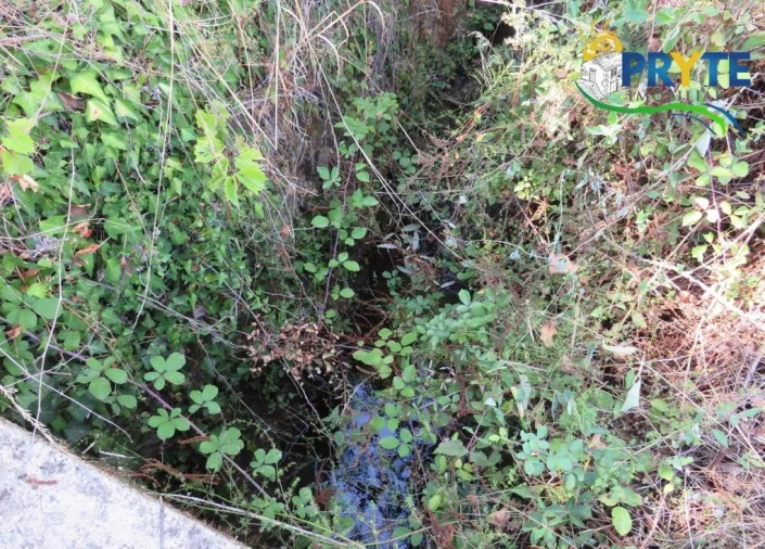 Terreno para Venda em Sertã Foto 16