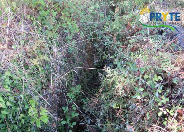 Terreno para Venda em Sertã Foto 17