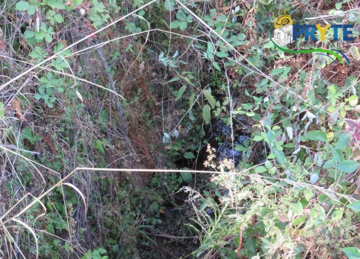 Terreno para Venda em Sertã Foto 18