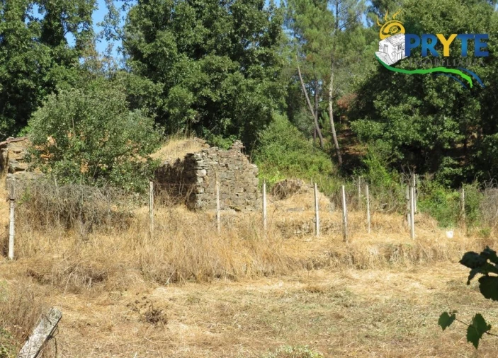 Terreno para Venda em Sertã Foto 19