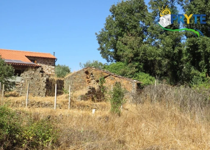 Terreno para Venda em Sertã Foto 20