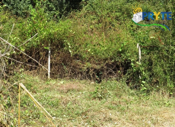 Terreno para Venda em Sertã Foto 22
