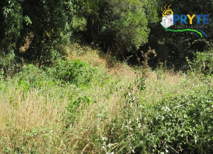 Terreno para Venda em Sertã Foto 23