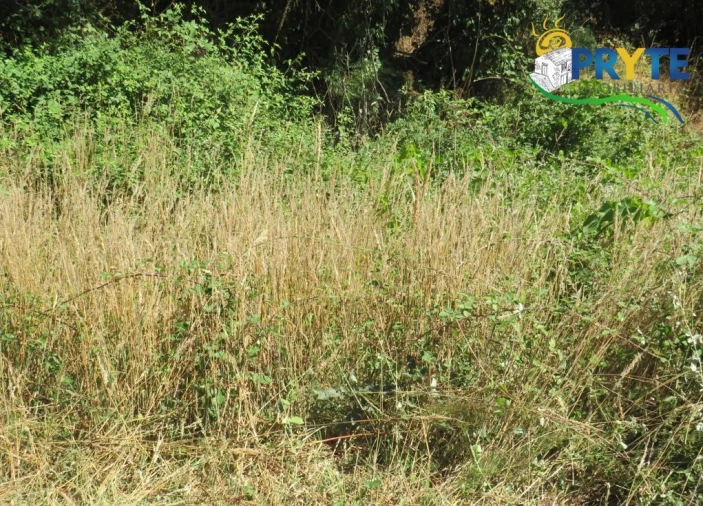 Terreno para Venda em Sertã Foto 24