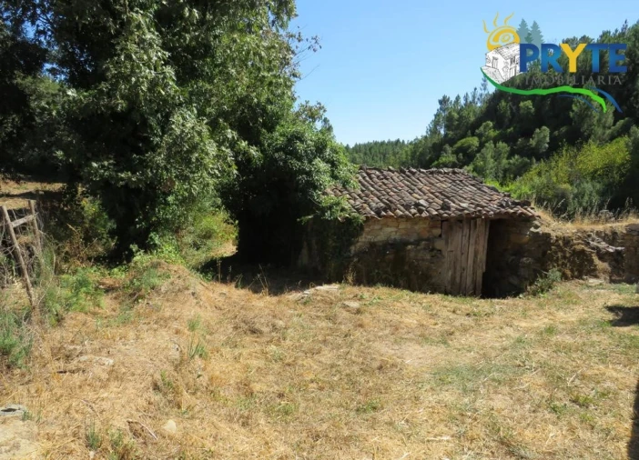Terreno para Venda em Sertã Foto 31