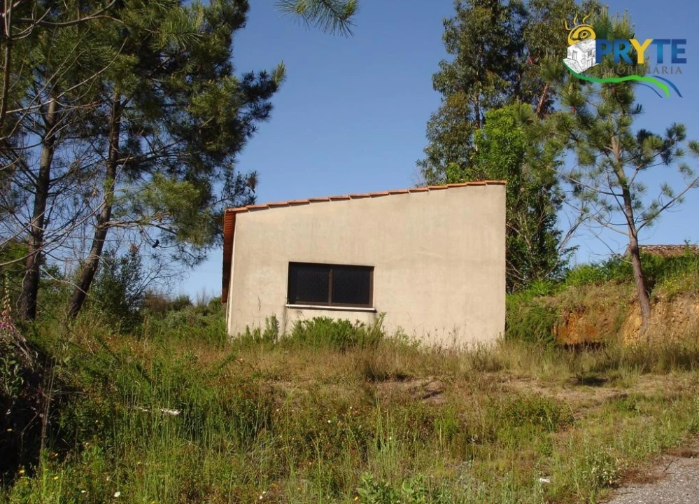 Terreno para Venda em Castelo Foto 1