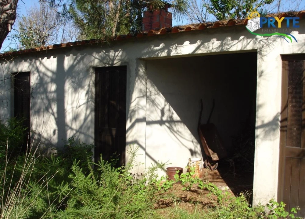 Terreno para Venda em Castelo Foto 5
