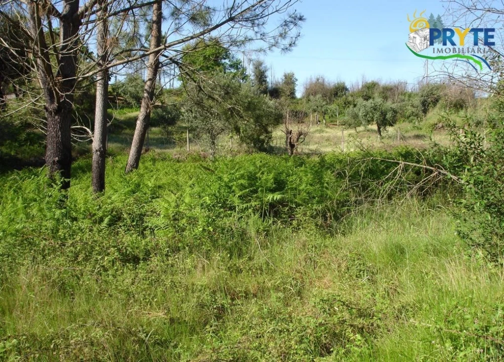 Terreno para Venda em Castelo Foto 6