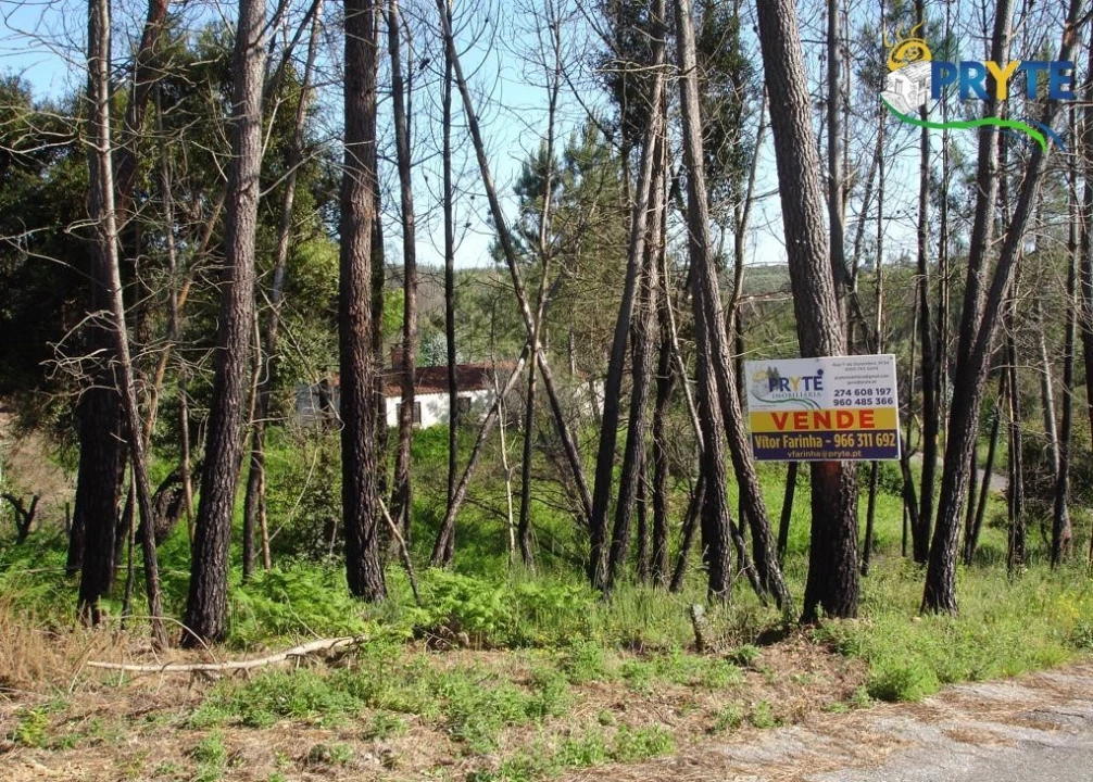 Terreno para Venda em Castelo Foto 8