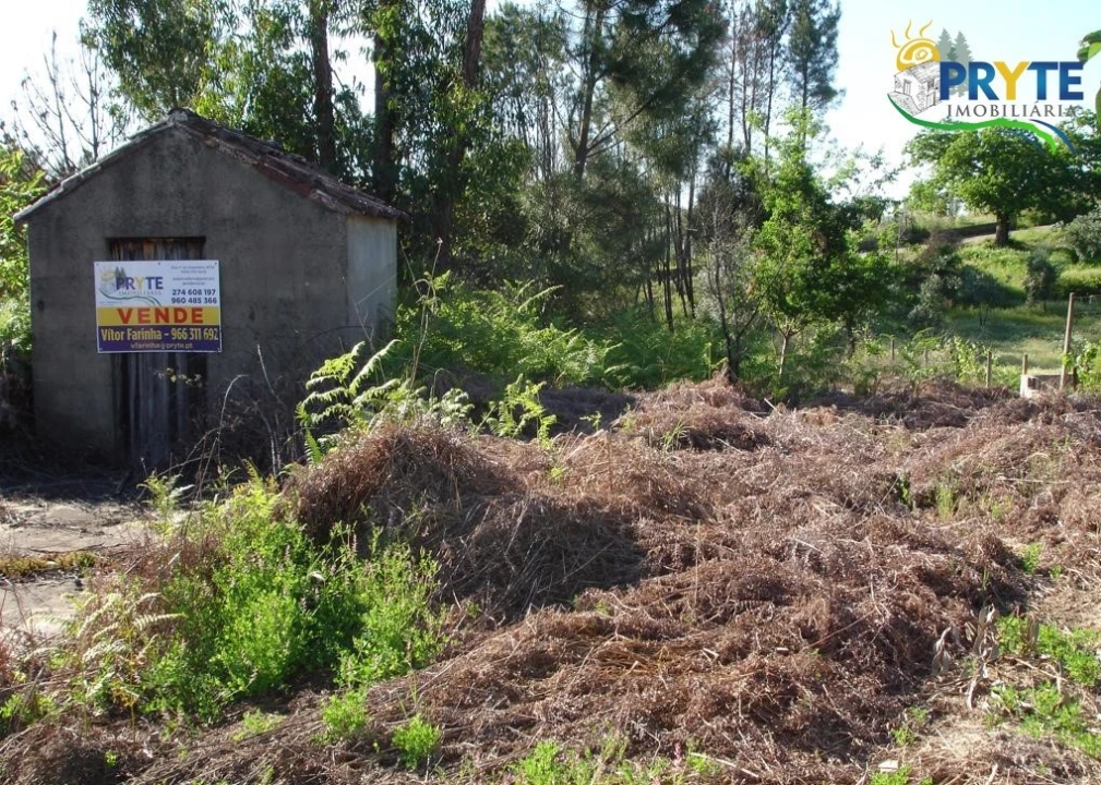 Terreno para Venda em Castelo Foto 11