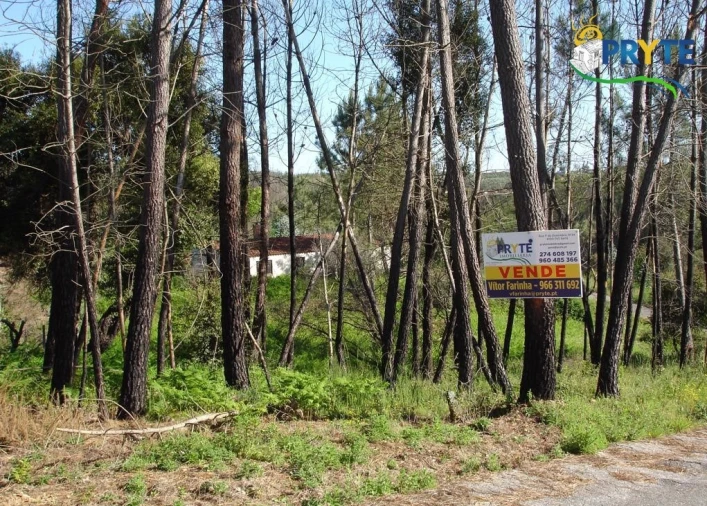 Terreno para Venda em Castelo Foto 8