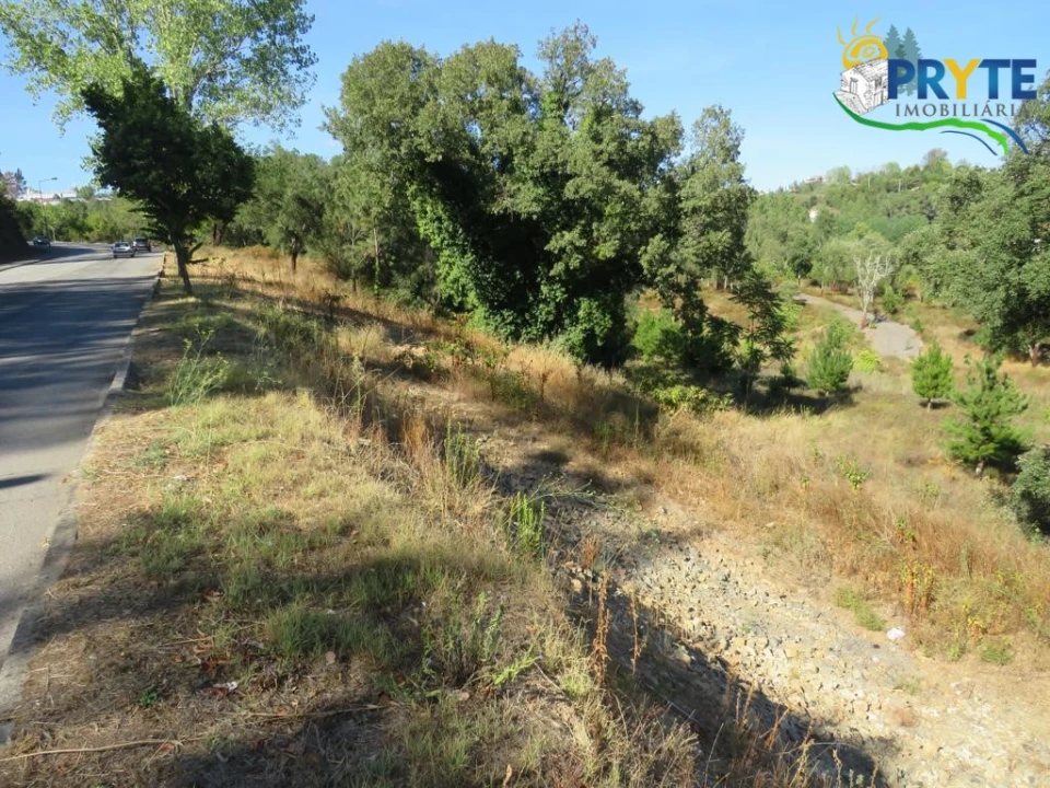 Terreno para Venda em Sertã Foto 4