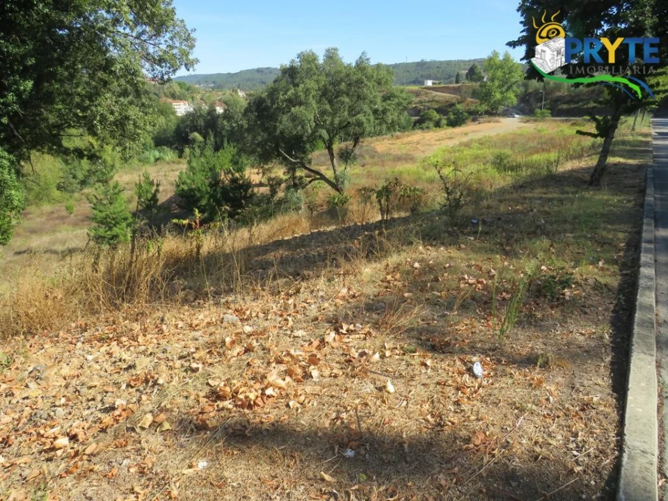 Terreno para Venda em Sertã Foto 5