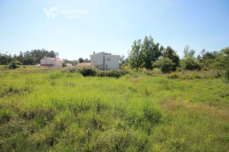 Terreno para Venda em Sebal e Belide Foto 6