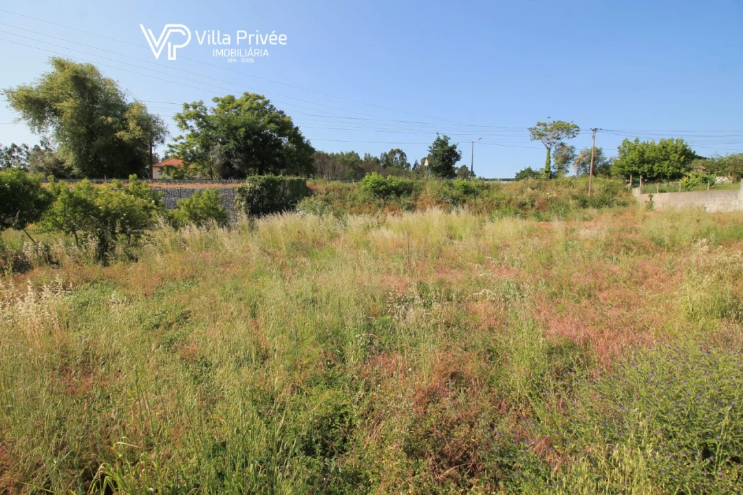 Terreno para Venda em Poiares (Santo Andre) Foto 5