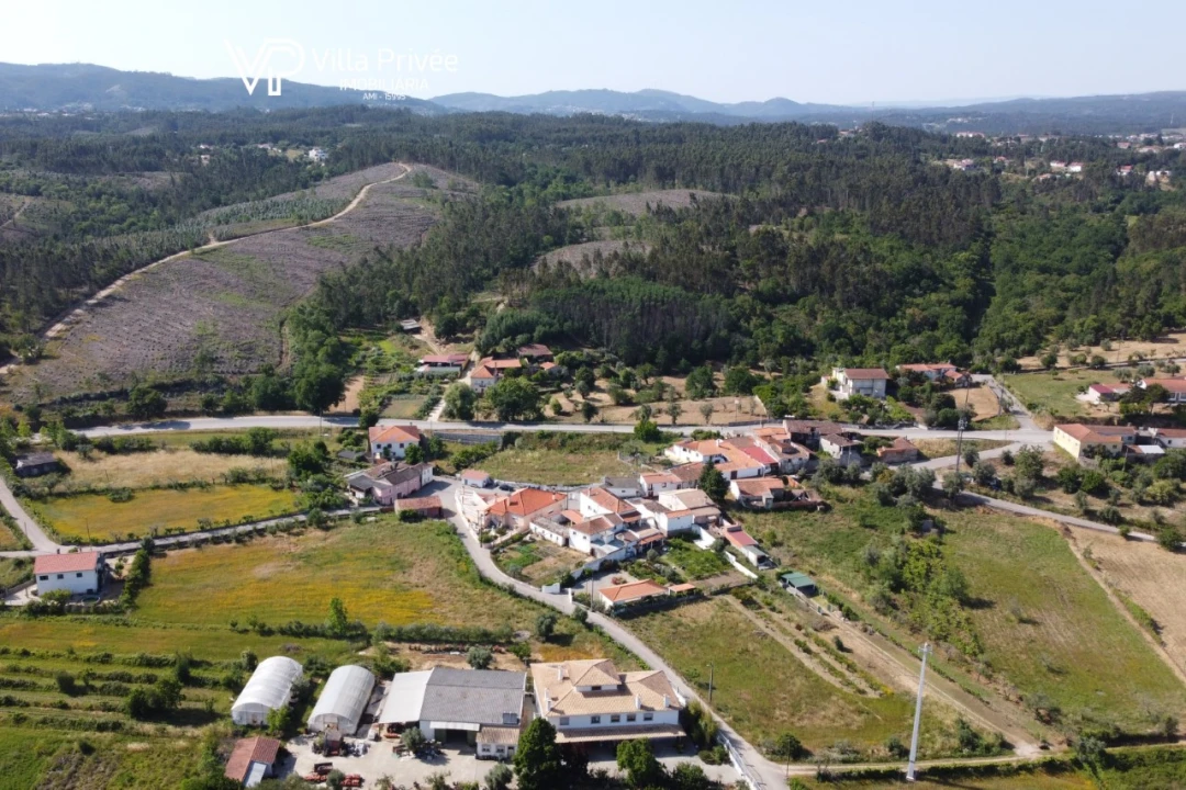 Terreno para Venda em Poiares (Santo Andre) Foto 15