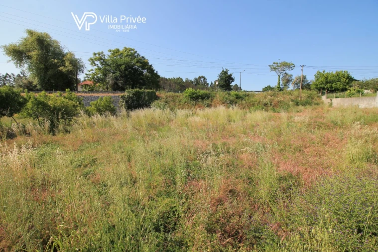 Terreno para Venda em Poiares (Santo Andre) Foto 5
