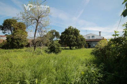 Terreno para Venda em São Martinho do Bispo e Ribeira de Frades