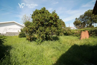 Terreno para Venda em São Martinho do Bispo e Ribeira de Frades