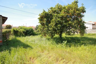 Terreno para Venda em São Martinho do Bispo e Ribeira de Frades