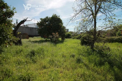 Terreno para Venda em São Martinho do Bispo e Ribeira de Frades