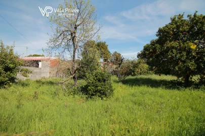 Terreno para Venda em São Martinho do Bispo e Ribeira de Frades