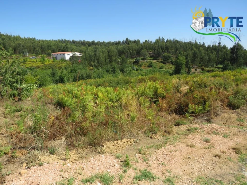 Terreno para Venda em Vila Facaia Foto 4