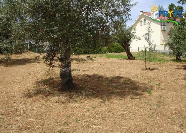 Terreno para Venda em Nossa Senhora do Pranto Foto 4