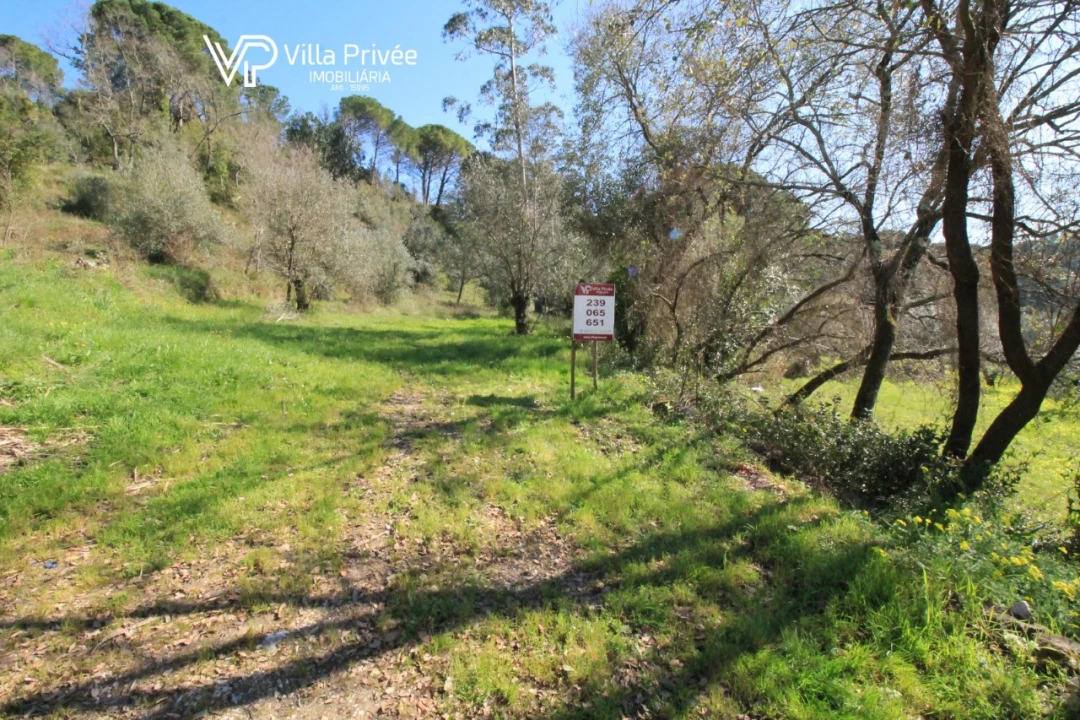 Terreno para Venda em Condeixa-A-Velha e Condeixa-A-Nova Foto 6